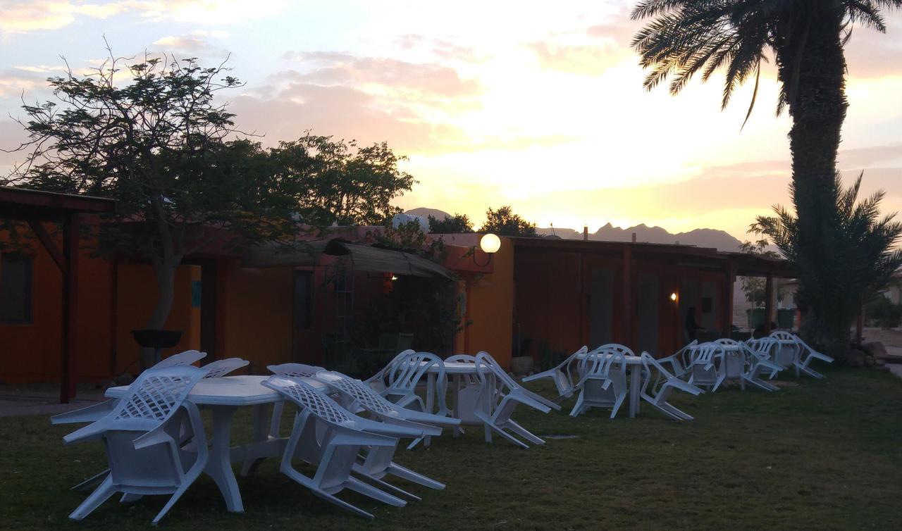 Elifaz Desert Experience Holiday Exterior foto